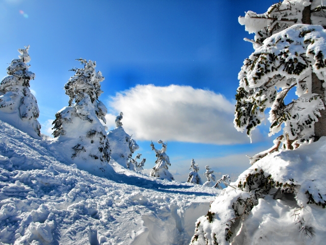 冬を楽しむ宮城県の人気のスキー場・ゲレンデ5選